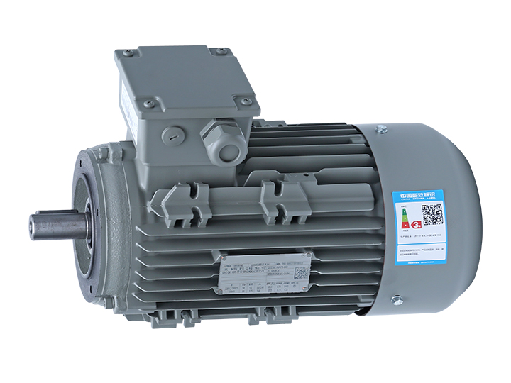 Siemens asynchronous motor